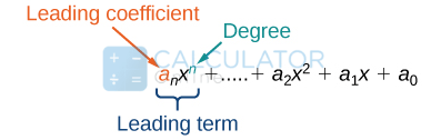 degree, leading coefficient, and leading term